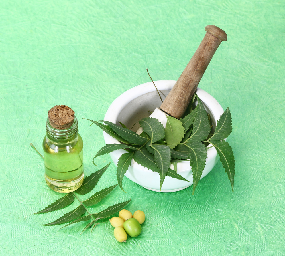 Benefits of Neem (Azadirachta Indica)